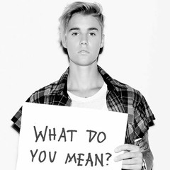 Justin Bieber - What Do You Mean?