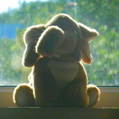 Give me an answer - Low roar