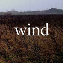 wind