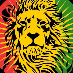 The Sloth - Disya Time