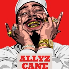 Post Malone - Cold [Allyz Cane Remix]