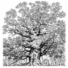 "Ygdrasil" Schell Lacarriere