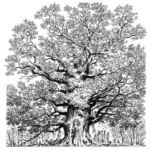 "Arbol que Vuela" Schell Jodorowsky