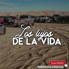 Lujos De La Vida(En Vivo) - Los Hijos De García