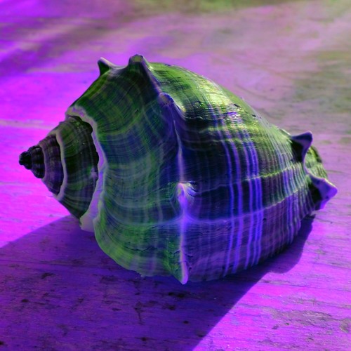 What I Need - Christian S x dipwith