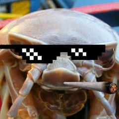 Real Isopod Hours ( 2 AM In Westminister ) Demo