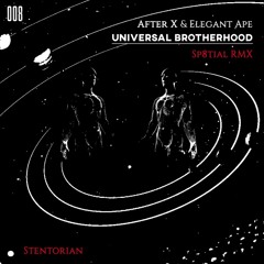 After X & Elegant Ape - Universal Brotherhood (Original Mix)