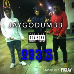 JayGoDumbb - 223's [Prod by BTGrin]