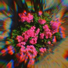 Aternative-Intro Answer - Tyler the creator