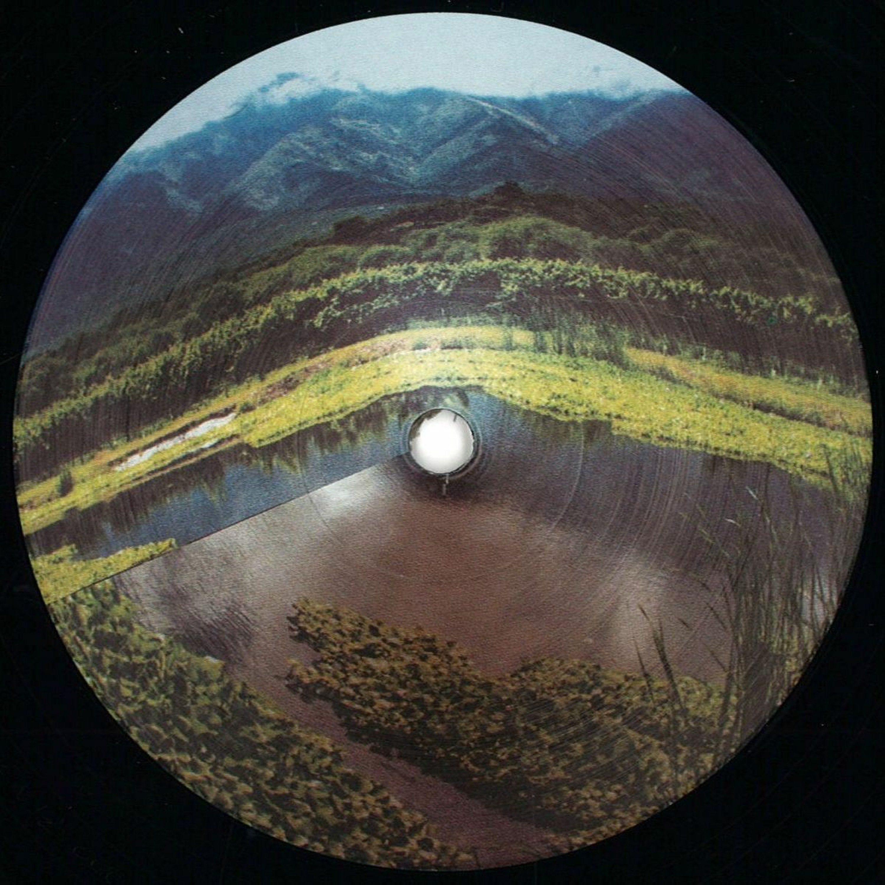 Martin Bellomo Musik