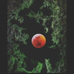 Eleven11 Osiris Ft LateAfter8