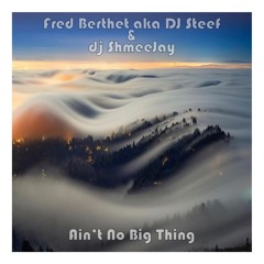 Fred Berthet & dj ShmeeJay - Ain't No Big Thing