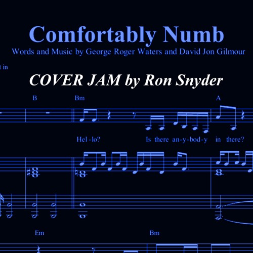Comfortably Numb Ron Snyder Cover Jam By Snyderron On Soundcloud