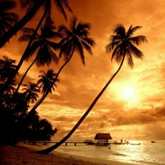 NKH - Sahh - Baby Only (One républic) -  [Come Back] 2019.mp3