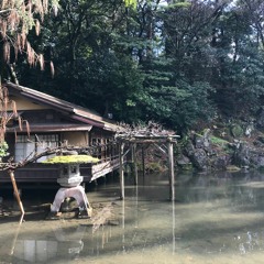 Long Shadow // Joe Strummer and the Mescaleros Cover