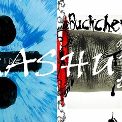 Crazy Bitch & Shape Of You (Ed Sheeran+Buck Cherry Mashup)