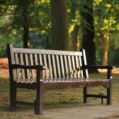 #27 - Another Bench