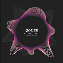 DZR2069 : Gosize - Pirate Street (Original Mix)