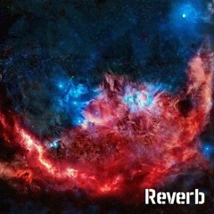 Reverb 09