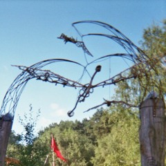 Friday Fortunes pt. 3 - ZAÜBERHAUPT