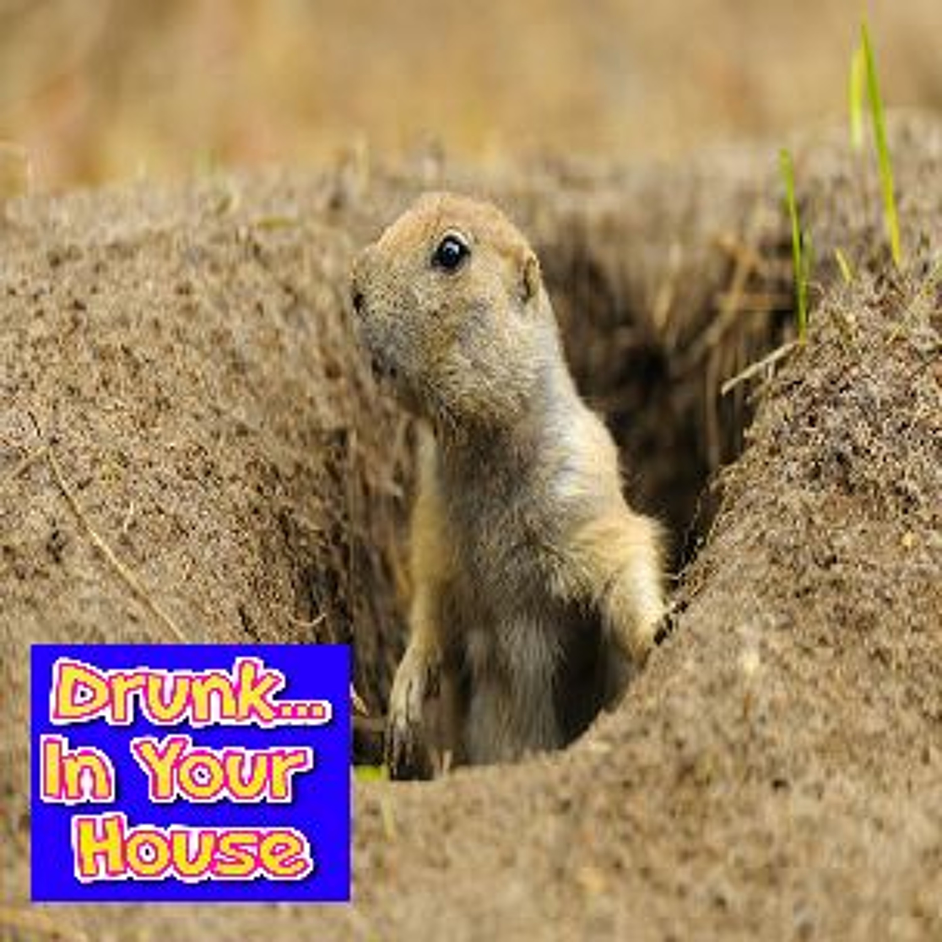 Drunk Prairie Dogs: The 2019 Predictions - Drunk... In Your House - Episode 11 episode artwork