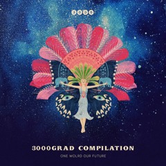 NOW: 3000GRAD COMPILATION "ONE WORLD OUR FUTURE" [OUT ON 08/02/19]