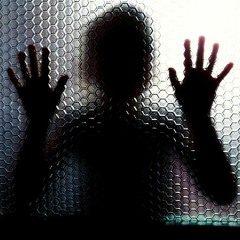 We Need The Terror (Free Dl)