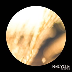 REC159 Dieru - Seeds EP (Recycle Records)