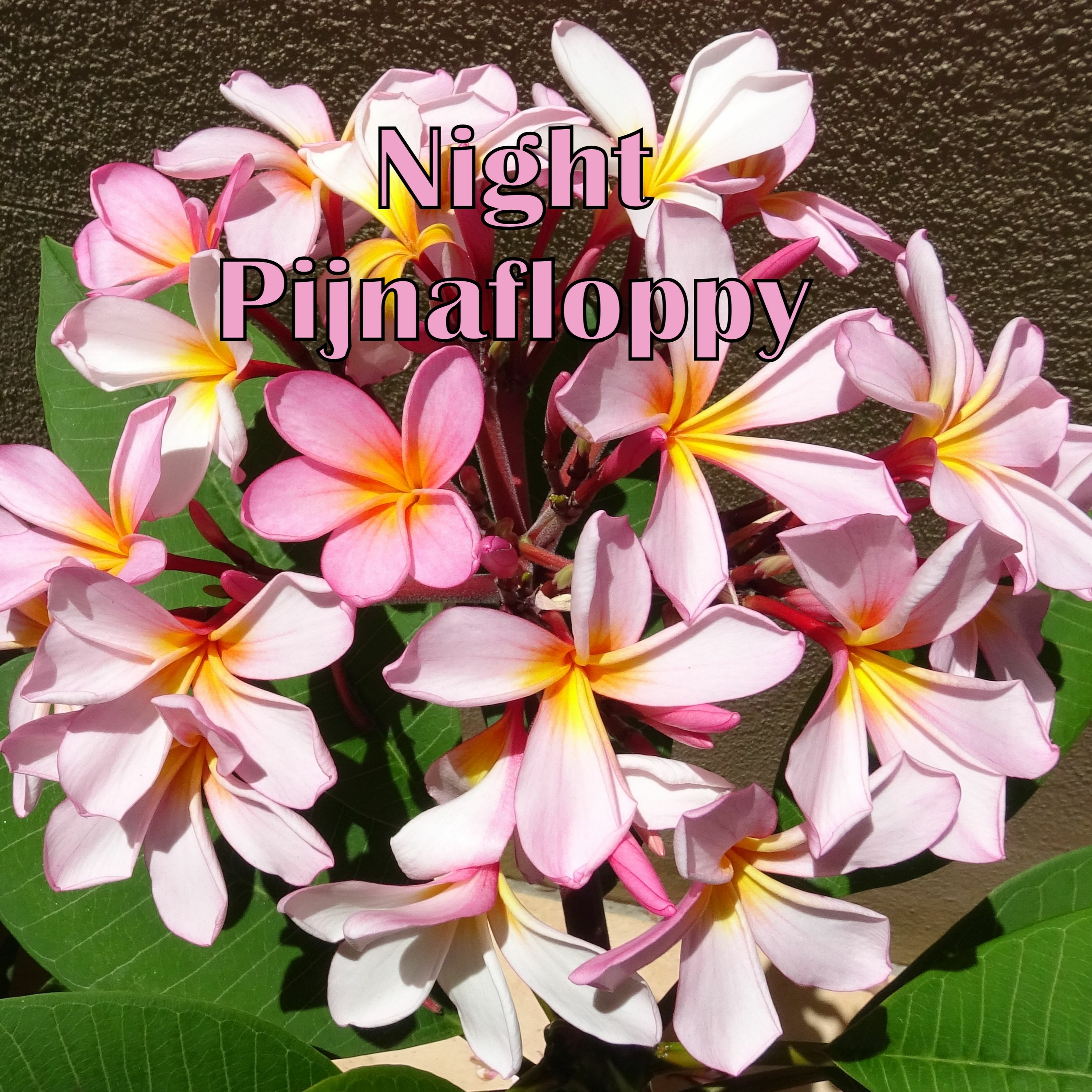 Night Pijnafloppy episode artwork