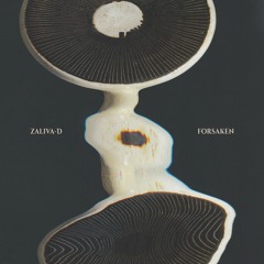 KH020 - Zaliva - D - Forsaken [album preview]