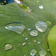 VibratingCalm