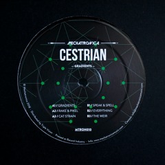 Cestrian - Gradients [MTRON010]