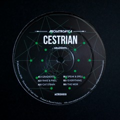 Cestrian - Speak & Spell [MTRON010]