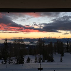 Robert Zawodny-Progressive Winter Depression