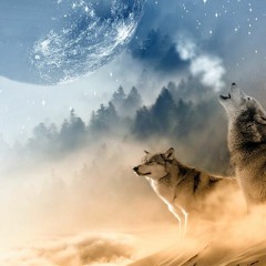 Long Dogs / Dog Wash : for Faerie