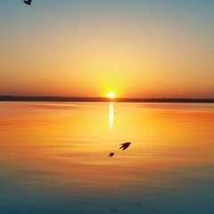 Db 2 - 5-1 , 3 - 6-2 - 5-1