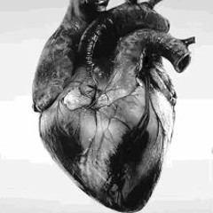 01 - Xilam Flow - Flow Indiano(Prod. Vírus D'Rap)