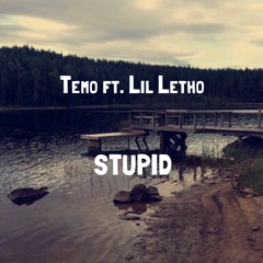 Temo ft. Lil Letho "Stupid"