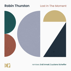 Robin Thurston - Lost In The Moment (Luciano Scheffer Mix)