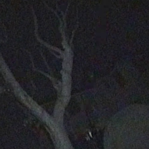 Greaf - Nothing More Than That