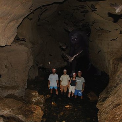 Spéléologie Dans Le Noir