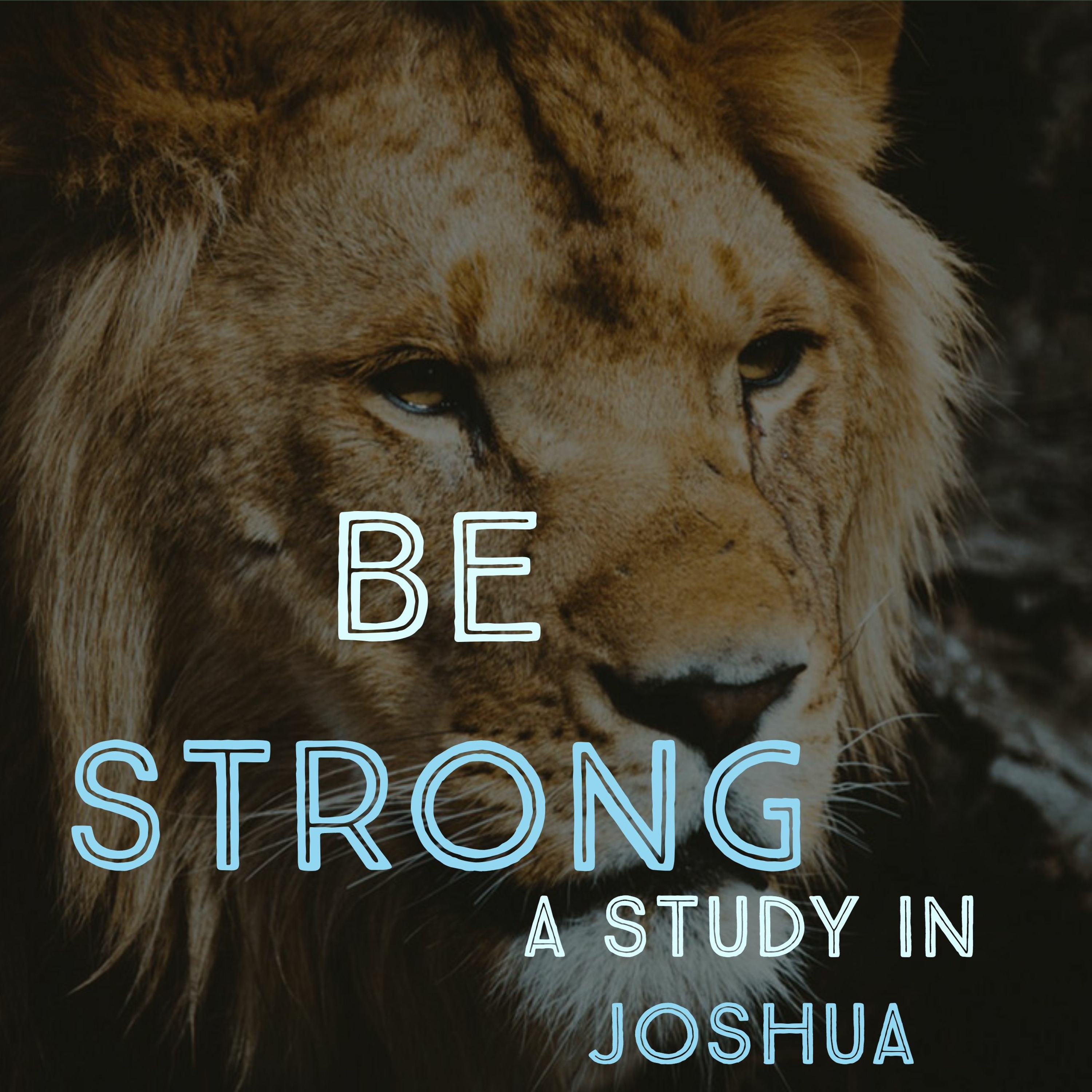 What Does it Take to Be Successful in Life?|Be Strong: A Study in Joshua episode artwork