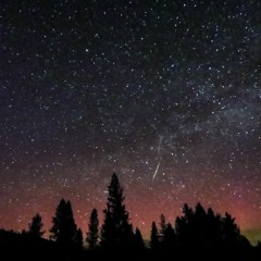 Cosmos