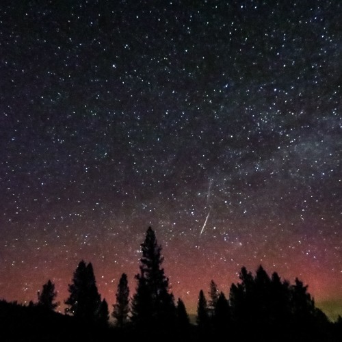 Cosmos