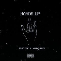 PinkYak ft. YoungFlex - HandsUp