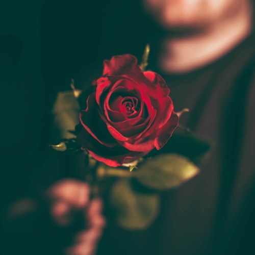 LOVE SONGS & MORE... By Sebastien Alegr