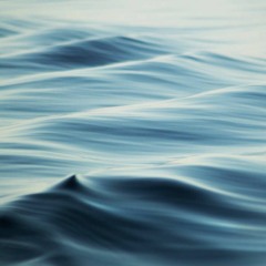 BSVA1 | 'Waves in Motion'