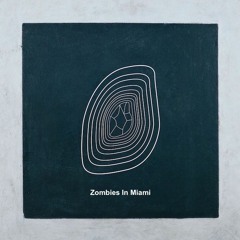 LIQUID YOUTH 021 | Zombies In Miami
