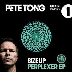 Perplexer on Radio 1 25-1-2019 [low quality]