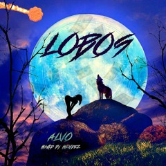 Alvo - Lobos 🐺